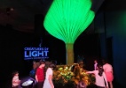Mostra nos EUA traz a natureza que emite luz