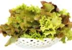 Dieta volumétrica