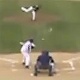 Blog: P&aacute;ssaro sobrevive ap&oacute;s ser atingido por bola em jogo de beisebol; assista 