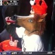 Blog: Torcedor vestido de cavalo aproveita pausa em jogo de beisebol para beber cerveja; assista 