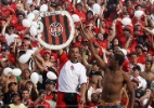 Divulga��o Brasil de Pelotas