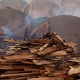 Greenpeace denuncia extração ilegal de madeira em carvoarias na Amazônia