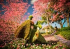 Divulga��o/WDW News
