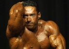 Musculosos