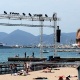 Cannes se prepara para receber o festival anual de cinema; veja as fotos