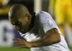 UOL vê TV: Cópia do polvo Paul, periquito prevê Corinthians como campeão da Libertadores