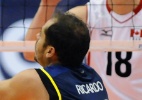 Divulgação/FIVB