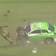 Blog: Piloto capota e parece desaparecer do carro em prova na Austr&aacute;lia; assista 