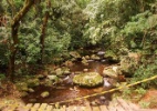 Reprodu��o/Ecoviagem