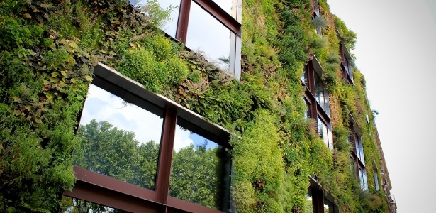 Divulgação Jardim vertical, criado pelo francês Patrick Blanc, cobre parte da fachada do Musée du quai Branly, em Paris