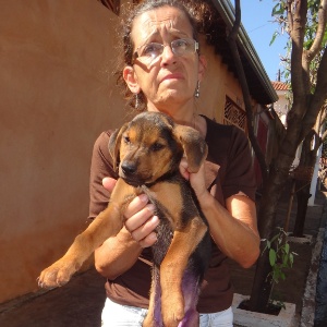 Arquivo pessoal A comerciante Neusa Mila segura um dos 300 cachorros cuidados por ela em São Joaquim da Barra