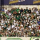 Portuguesa oferece, e Palmeiras estuda Canind&eacute; como nova casa do time