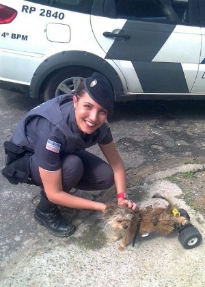 Cachorro paraplégico é adotado pela soldado da Polícia Militar Gecyanna Araújo, em Vila Velha (ES)