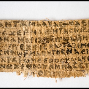 papiro de harvard