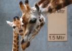 Phil Noble/Reuters