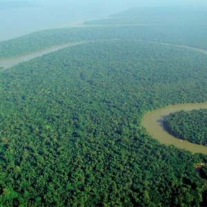 Maior extensão de floresta tropical da Terra, a floresta Amazônica é fonte de sobrevivência para diversas comunidades locais