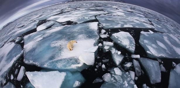 Anna Henly/Veolia Environment Wildlife Photographer of the Year