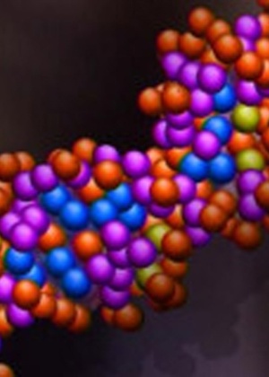BBC Método permite identificação simultânea de várias características físicas a partir de amostras de DNA