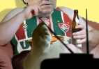 Guedex