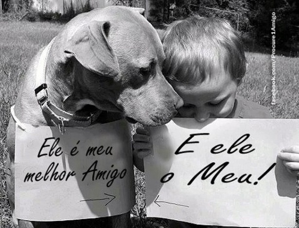 reprodução não é a raça é como você cria mais