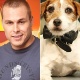 Do cão Uggie ao peladão Lucas, veja quem brilhou por 15 min em 2012 - Montagem/UOL