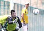 Vasco estuda saída de Leonardo, mas assegura permanência de Alessandro