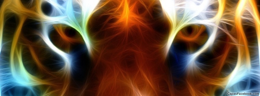 capas de bichos para Facebook que vão deixar sua página fofa. Para