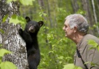 Homem vira 'bab�' de 27 filhotes de urso nos EUA