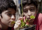 Ser� que plantas carn�voras atacam pessoas? Saiba mais sobre elas