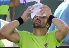 Tipsarevic conhece seu adversário da estreia  (Foto: ERIK S. LESSER / EFE)