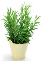 Thinkstock/ArteUOL