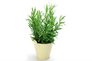 Thinkstock