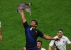 Blog troca bolas por gatos e cria situações engraçadas no esporte