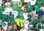 Organizada do Palmeiras detona Nobre por ingresso caro: 