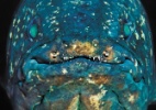 Laurent Ballesta/Andromede Oceanologie