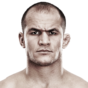 http://imguol.com/2013/04/30/junior-cigano-lutador-do-ufc-1367341805931_300x300.png