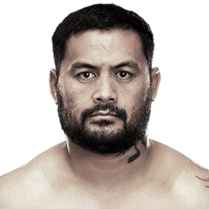 http://imguol.com/2013/04/30/mark-hunt-lutador-do-ufc-1367341887393_300x300.png