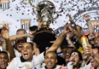 Quem é o favorito para o Campeonato Brasileiro 2013?