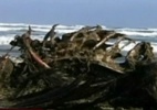 Morte de pássaros e animais marinhos intriga polícia e cientistas no Chile   (Foto: BBC)