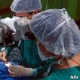 Importação de médicos