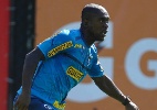 Com Seedorf, Botafogo entra em fase final de preparação para Copa BR