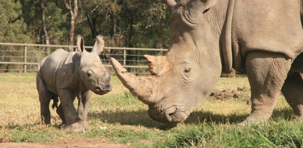 Taronga Zoo/Reuters