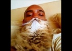 Reprodução/Tumblr Catbeards