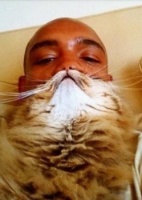 Reprodução/Tumblr Catbeards