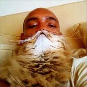 Reprodução/Tumblr Catbeards