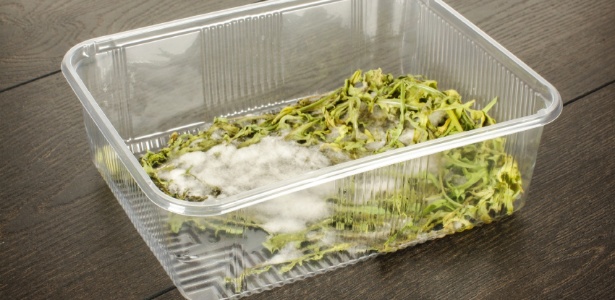 Saladas - Dez dicas para incrementar sua salada e deixar de dar inveja