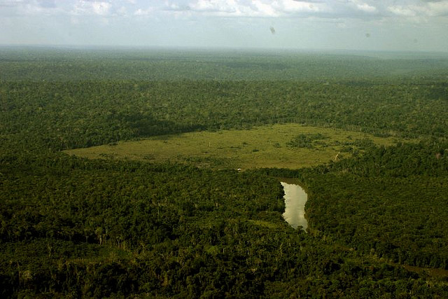 Área da Amazônia paraense desmatada para gado. Foto: Leonardo F. Freitas/Flickr (Licença CC BY-NC-SA 2.0)