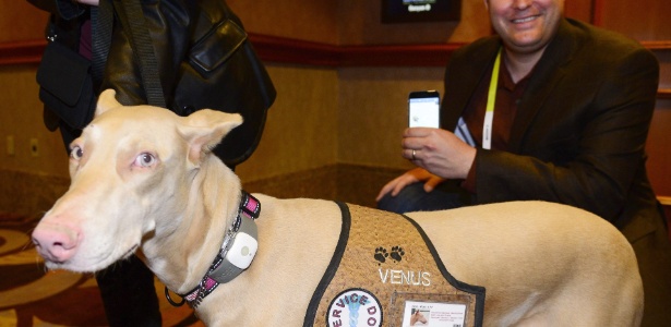 5jan2015---cachorro-veste-o-acessorio-tagg-gs-pet-tracker-uma-especie-de-gps-para-bichos-de-estimacao-um-aplicativo-desenvolvido-por-scott-neuberger-direita-consegue-monitorar-a-localizacao-do-1420497510993_615x300