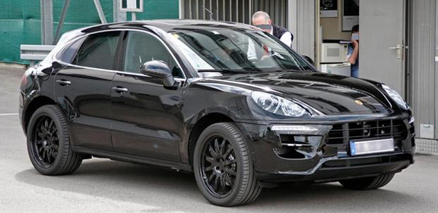 macan615 Foto: Brenda Priddy & Co