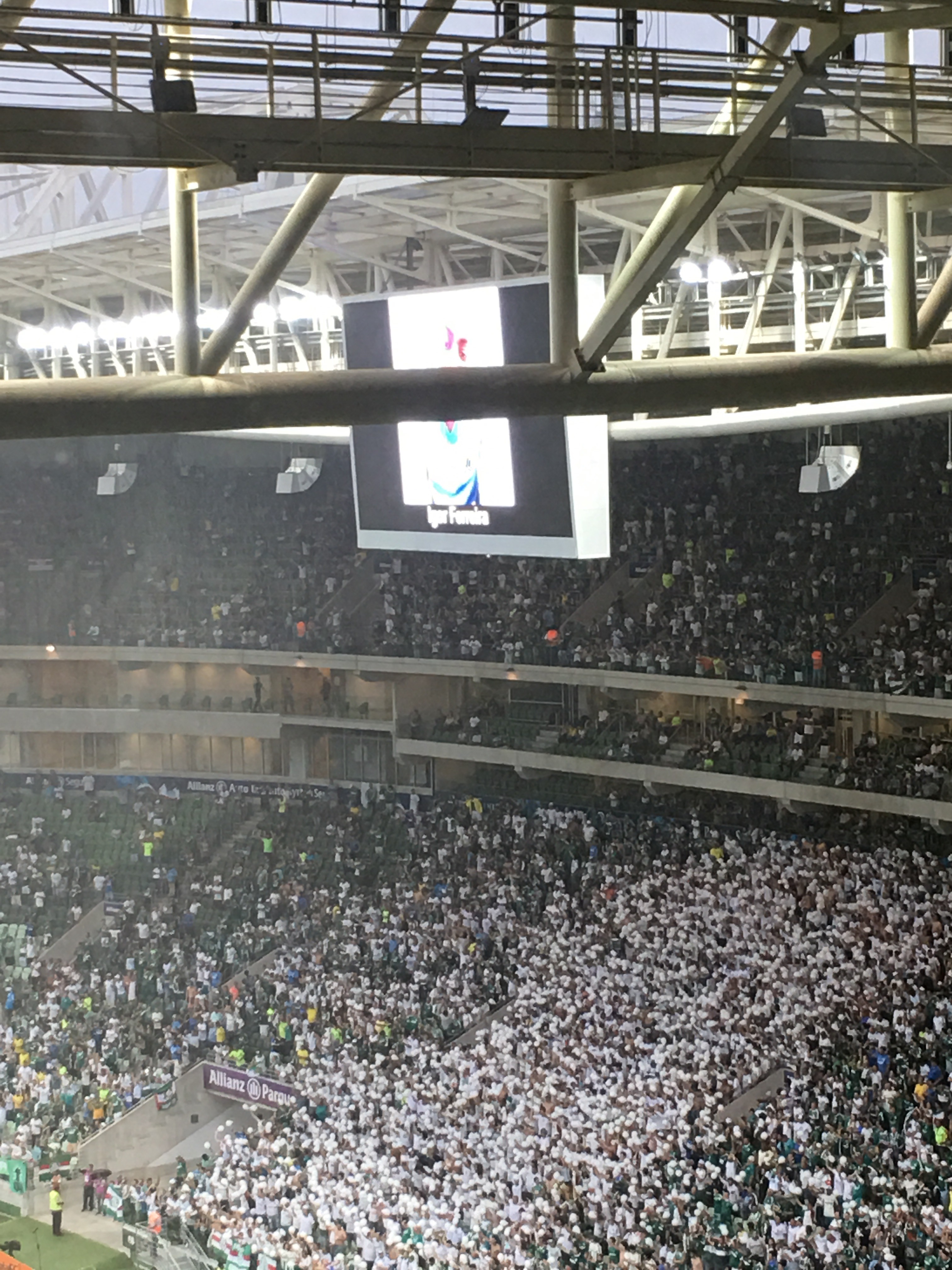 Palmeirense de sangue. Palmeiras 1 X 0 Internacional